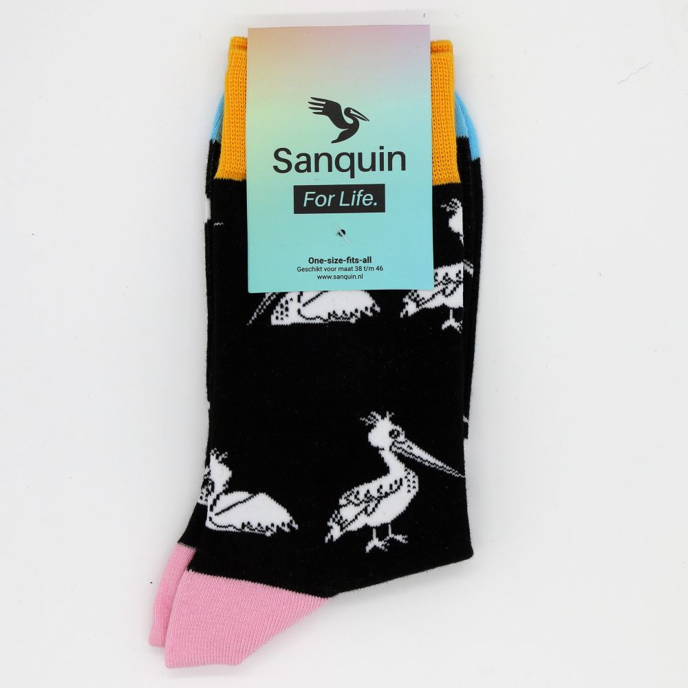 Sanquin Blood Banks